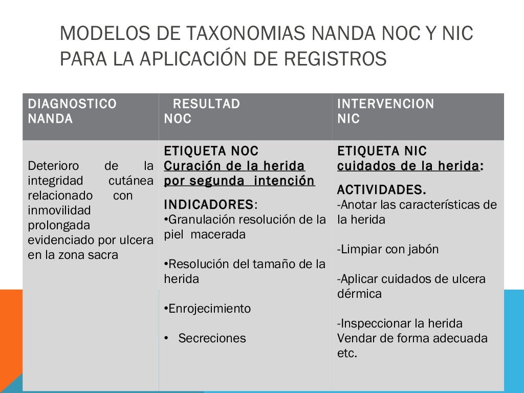 Avances en la taxonomia nanda ,noc , nic