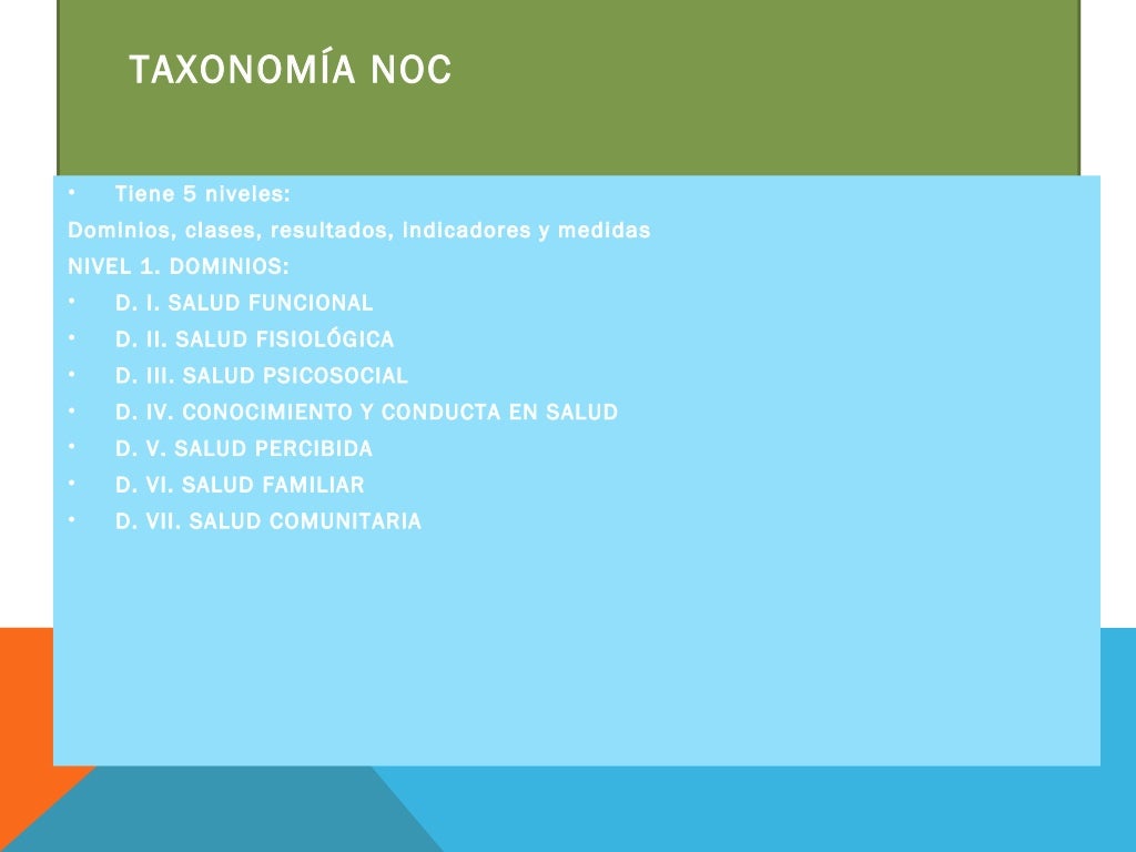 Avances en la taxonomia nanda ,noc , nic