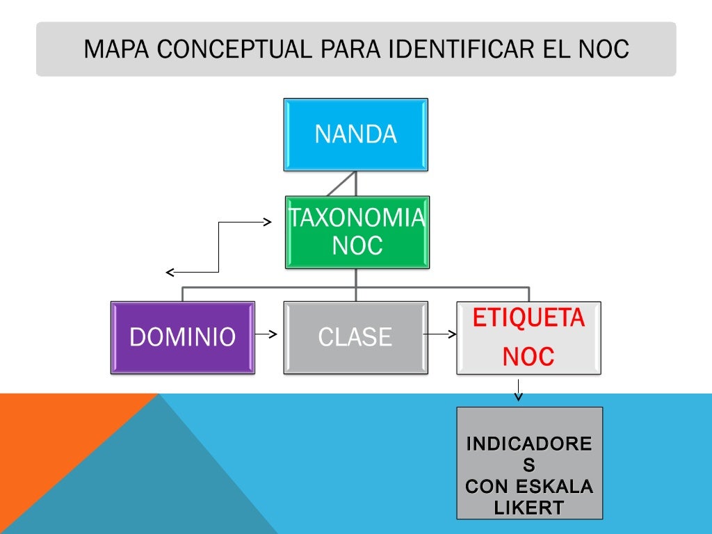 Avances en la taxonomia nanda ,noc , nic