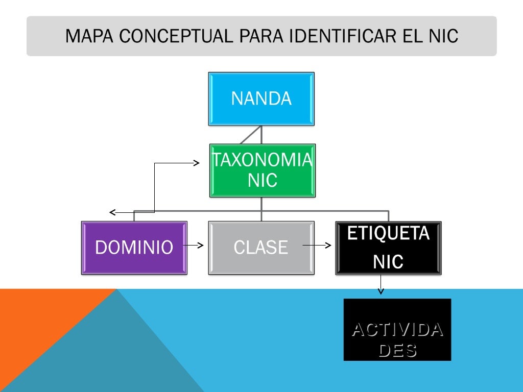 Avances en la taxonomia nanda ,noc , nic