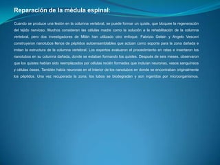 Reparación de la médula espinal:
Cuando se produce una lesión en la columna vertebral, se puede formar un quiste, que bloquee la regeneración
del tejido nervioso. Muchos consideran las células madre como la solución a la rehabilitación de la columna
vertebral, pero dos investigadores de Milán han utilizado otro enfoque. Fabrizio Gelain y Angelo Vescovi
construyeron nanotubos llenos de péptidos autoensamblables que actúan como soporte para la zona dañada e
imitan la estructura de la columna vertebral. Los expertos evaluaron el procedimiento en ratas e insertaron los

nanotubos en su columna dañada, donde se estaban formando los quistes. Después de seis meses, observaron
que los quistes habían sido reemplazados por células recién formadas que incluían neuronas, vasos sanguíneos
y células óseas. También había neuronas en el interior de los nanotubos en donde se encontraban originalmente
los péptidos. Una vez recuperada la zona, los tubos se biodegradan y son ingeridos por microorganismos.

 