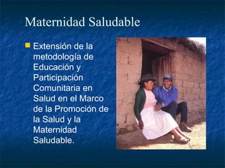 Maternidad Saludable
 Extensión de la
  metodología de
  Educación y
  Participación
  Comunitaria en
  Salud en el Marco
  de la Promoción de
  la Salud y la
  Maternidad
  Saludable.
 