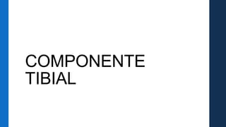 COMPONENTE
TIBIAL
 