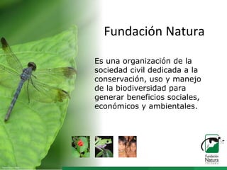 Fundación Natura

                       Es una organización de la
                       sociedad civil dedicada a la
                       conservación, uso y manejo
                       de la biodiversidad para
                       generar beneficios sociales,
                       económicos y ambientales.




Fuente: Ocho F. 2008
 