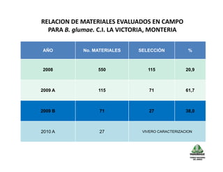 Avances manejo bacteria_burkholderia_glumae_ colombia