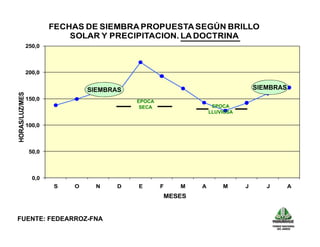 Avances manejo bacteria_burkholderia_glumae_ colombia