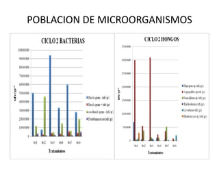 Avances manejo bacteria_burkholderia_glumae_ colombia