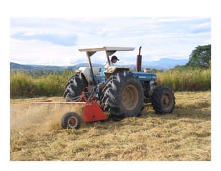 Avances manejo bacteria_burkholderia_glumae_ colombia