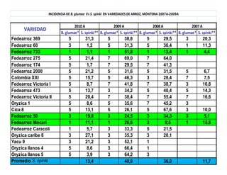Avances manejo bacteria_burkholderia_glumae_ colombia