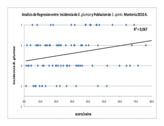 Avances manejo bacteria_burkholderia_glumae_ colombia
