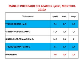 Avances manejo bacteria_burkholderia_glumae_ colombia
