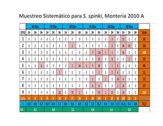 Avances manejo bacteria_burkholderia_glumae_ colombia