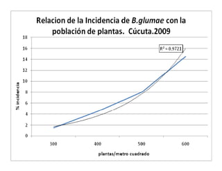 Avances manejo bacteria_burkholderia_glumae_ colombia
