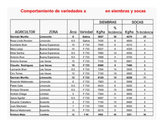 Avances manejo bacteria_burkholderia_glumae_ colombia