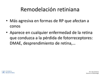 Remodelación retiniana
• Más agresiva en formas de RP que afectan a
conos
• Aparece en cualquier enfermedad de la retina
q...
