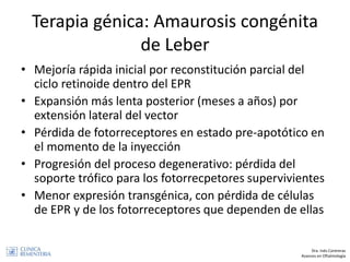 Terapia génica: Amaurosis congénita
de Leber
• Mejoría rápida inicial por reconstitución parcial del
ciclo retinoide dentr...