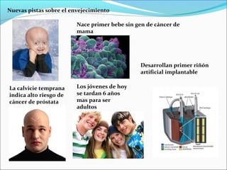 Nuevas pistas sobre el envejecimiento
Nace primer bebe sin gen de cáncer de
mama
La calvicie temprana
indica alto riesgo de
cáncer de próstata
Los jóvenes de hoy
se tardan 6 años
mas para ser
adultos
Desarrollan primer riñón
artificial implantable
 