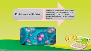 Embriones artificiales
Lograron desarrollar estructuras
similares a las de un embrión sin
necesitad de óvulos o
espermatozoides, sólo células
madre.
 