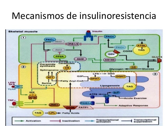 A vances txdm15 A vances txdm15