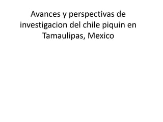 Avances y perspectivas de investigacion del chile piquin en Tamaulipas, Mexico 