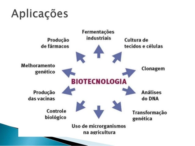 Principais Áreas De Atuação Da Biotecnologia – WARRMX