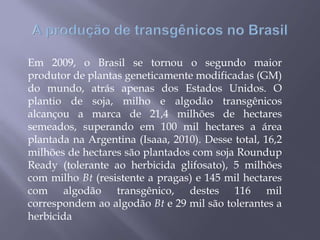 Em 2009, o Brasil se tornou o segundo maior
produtor de plantas geneticamente modificadas (GM)
do mundo, atrás apenas dos Estados Unidos. O
plantio de soja, milho e algodão transgênicos
alcançou a marca de 21,4 milhões de hectares
semeados, superando em 100 mil hectares a área
plantada na Argentina (Isaaa, 2010). Desse total, 16,2
milhões de hectares são plantados com soja Roundup
Ready (tolerante ao herbicida glifosato), 5 milhões
com milho Bt (resistente a pragas) e 145 mil hectares
com algodão transgênico, destes 116 mil
correspondem ao algodão Bt e 29 mil são tolerantes a
herbicida
 