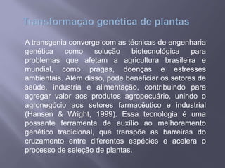 A transgenia converge com as técnicas de engenharia
genética como solução biotecnológica para
problemas que afetam a agricultura brasileira e
mundial, como pragas, doenças e estresses
ambientais. Além disso, pode beneficiar os setores de
saúde, indústria e alimentação, contribuindo para
agregar valor aos produtos agropecuário, unindo o
agronegócio aos setores farmacêutico e industrial
(Hansen & Wright, 1999). Essa tecnologia é uma
possante ferramenta de auxílio ao melhoramento
genético tradicional, que transpõe as barreiras do
cruzamento entre diferentes espécies e acelera o
processo de seleção de plantas.
 