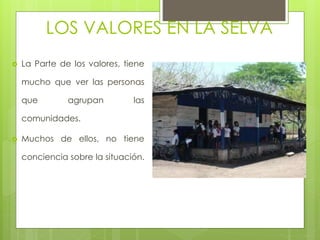 LOS VALORES EN LA SELVA
 La Parte de los valores, tiene
mucho que ver las personas
que agrupan las
comunidades.
 Muchos de ellos, no tiene
conciencia sobre la situación.
 