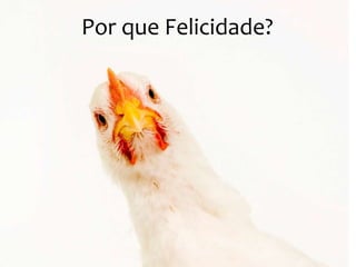 Por que Felicidade?

 