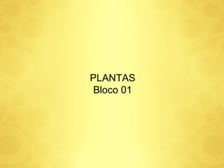 PLANTAS Bloco 01 