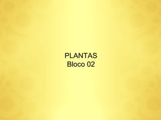 PLANTAS Bloco 02 