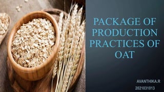 PACKAGE OF
PRODUCTION
PRACTICES OF
OAT
AVANTHIKA.R
2021031013
 