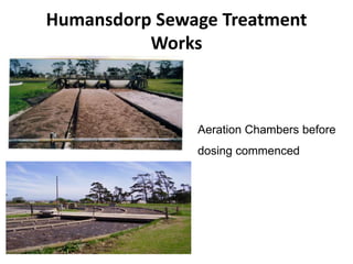 Humansdorp Sewage Treatment
          Works



               Aeration Chambers before
               dosing commenced
 