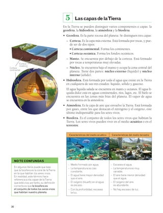 Corteza 
oceánica 
Corteza 
continental 
20 
Las capas de la Tierra 
En la Tierra se pueden distinguir varios componentes o capas: la 
geosfera, la hidrosfera, la atmósfera y la biosfera. 
• Geosfera. Es la parte rocosa del planeta. Se distinguen tres capas: 
– Corteza. Es la capa más externa. Está formada por rocas, y pue-de 
ser de dos tipos: 
■ Corteza continental. Forma los continentes. 
■ Corteza oceánica. Forma los fondos oceánicos. 
– Manto. Se encuentra por debajo de la corteza. Está formado 
por rocas a temperaturas muy elevadas. 
– Núcleo. Se encuentra bajo el manto y ocupa la zona central del 
planeta. Tiene dos partes: núcleo externo (líquido) y núcleo 
interno (sólido). 
• Hidrosfera. Está formada por toda el agua que existe en la Tierra 
en cualquiera de sus tres estados: líquido, sólido y gaseoso. 
El agua líquida salada se encuentra en mares y océanos. El agua lí-quida 
dulce está en aguas continentales, ríos, lagos, etc. El hielo se 
encuentra en las zonas más frías del planeta. El vapor de agua 
se encuentra en la atmósfera. 
• Atmósfera. Es la capa de aire que envuelve la Tierra. Está formada 
por gases, entre los que destacan el nitrógeno y el oxígeno, este 
último indispensable para los seres vivos. 
• Biosfera. Es el conjunto de todos los seres vivos que habitan la 
Tierra. Los seres vivos pueden vivir en el medio acuático o en el 
terrestre. 
Características del medio acuático Características del medio terrestre 
– Medio formado por agua. 
– La temperatura es casi 
constante. 
– El agua tiene mayor densidad 
que el aire. 
– El oxígeno disuelto en el agua 
es escaso. 
– Con la profundidad, escasea 
la luz. 
– Escasea el agua. 
– La temperatura es muy 
variable. 
– El aire tiene menor densidad 
que el agua. 
– El oxígeno del aire 
es abundante. 
– No hay escasez de luz. 
5 
Manto 
Núcleo 
externo 
6 378 km 
5 150 km 
2 900 km 
Núcleo 
interno 
NO TE CONFUNDAS 
0 km 
En algunos libros puede que leas 
que la biosfera es la zona de la Tierra 
en la que habitan los seres vivos. 
En realidad, este término hace 
referencia a «la capa» de la Tierra 
que está viva; por tanto, su definición 
correcta es que la biosfera es 
el conjunto de todos los seres vivos 
que habitan nuestro planeta. 
 