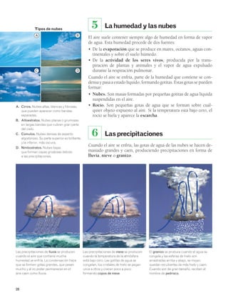 28 
La humedad y las nubes 
5 
El aire suele contener siempre algo de humedad en forma de vapor 
de agua. Esta humedad procede de dos fuentes: 
• De la evaporación que se produce en mares, océanos, aguas con-tinentales 
y sobre el suelo húmedo. 
• De la actividad de los seres vivos, producida por la trans-piración 
de plantas y animales y el vapor de agua expulsado 
durante la respiración pulmonar. 
Cuando el aire se enfría, parte de la humedad que contiene se con-densa 
y pasa a estado líquido, formando gotitas. Estas gotas se pueden 
formar: 
• Nubes. Son masas formadas por pequeñas gotitas de agua líquida 
suspendidas en el aire. 
• Rocío. Son pequeñas gotas de agua que se forman sobre cual-quier 
objeto expuesto al aire. Si la temperatura está bajo cero, el 
rocío se hiela y aparece la escarcha. 
6 Las precipitaciones 
Cuando el aire se enfría, las gotas de agua de las nubes se hacen de-masiado 
grandes y caen, produciendo precipitaciones en forma de 
lluvia, nieve o granizo. 
B 
A 
A. Cirros. Nubes altas, blancas y fibrosas, 
que pueden aparecer como bandas 
separadas. 
B. Altoestratos. Nubes planas o grumosas 
en largas bandas que cubren gran parte 
del cielo. 
C. Cúmulos. Nubes densas de aspecto 
algodonoso. Su parte superior es brillante, 
y la inferior, más oscura. 
D. Nimbostratos. Nubes bajas 
que forman capas grisáceas debido 
a las precipitaciones. 
D 
C 
Las precipitaciones de lluvia se producen 
cuando el aire que contiene mucha 
humedad se enfría. La condensación hace 
que se formen gotas grandes, que pesan 
mucho y al no poder permanecer en el 
aire caen como lluvia. 
Las precipitaciones de nieve se producen 
cuando la temperatura de la atmósfera 
está bajo cero. Las gotitas de agua se 
congelan, los cristales de hielo se pegan 
unos a otros y crecen poco a poco 
formando copos de nieve. 
El granizo se produce cuando el agua se 
congela y las esferas de hielo son 
arrastradas arriba y abajo, se mojan, 
quedan recubiertas de más hielo y caen. 
Cuando son de gran tamaño, reciben el 
nombre de pedrisco. 
Tipos de nubes 
 