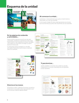 Esquema de la unidad 
8 
4 
Los animales 
vertebrados 
En esta unidad aprenderás 
• Las principales diferencias entre 
animales vertebrados e invertebrados. 
• Las características de los 
vertebrados y su clasificación. 
• Cómo diferenciar cada uno 
de los grupos de vertebrados. 
Ilustración 
El ornitorrinco es un animal que vive, solo o en pareja, en los 
ríos de Australia. Este extraño mamífero parece la unión de 
tres animales diferentes: el pato (por su pico y patas palmea-das), 
el castor (por su cola) y la nutria (por el pelo que cubre 
su cuerpo). 
El ornitorrinco se alimenta de moscas, gusanos y plantas que 
crecen en el fondo del río. Suele estar mucho tiempo en el 
agua, es buen nadador y a menudo sube a la superficie a des-cansar 
en su madriguera. 
Las crías nacen de huevos, pero se alimentan mamando de su 
madre; por eso es considerado un animal mamífero. 
¿Por qué el ornitorrinco es considerado un animal mamífero? 
10 Las plantas 
En esta unidad aprenderás 
301397_Unidad 08.indd 81 24/03/11 10:46 
y los hongos 
Las secuoyas rojas son los seres vivos más grandes del 
planeta. Estos árboles pueden medir más de 100 metros 
de altura y vivir miles de años. 
La secuoya más grande que se conoce se llama General 
Sherman y se encuentra en el Parque Nacional de las 
Secuoyas de California. Este árbol tiene más de 2 100 años, 
mide casi 90 metros de alto y su tronco es tan grande que 
diecisiete personas cogidas de la mano y con los brazos 
estirados, apenas pueden rodearlo. 
En el pasado, en los troncos de algunas secuoyas cavaron 
túneles por los que incluso puede pasar un coche. 
¿Cómo se llama y dónde se encuentra la secuoya 
más grande del mundo? 
• Las características propias del reino 
Plantas y su clasificación. 
• Los distintos órganos de una planta, 
así como su forma y función. 
• Las formas de nutrición, relación 
y reproducción de las plantas. 
• Las características propias 
del reino Hongos, y los principales 
grupos de este reino. 
301397_Unidad10.indd 103 24/03/11 10:48 
Al comenzar la unidad… 
podrás leer un interesante texto que cuenta un hecho histórico 
relacionado con lo que vas a estudiar. 
En el recuadro titulado «En esta unidad aprenderás» encontrarás, 
de forma resumida, los puntos más importantes que vas a aprender. 
La longitud 
La longitud es la magnitud que utilizamos con más frecuencia. La 
usamos para medir nuestra altura, la distancia entre el centro esco-lar 
y nuestra casa, la distancia que separa la Tierra del Sol o incluso 
el tamaño de una célula. 
La longitud es la distancia que hay entre dos puntos. 
Su unidad en el Sistema Internacional es el metro (m). 
Para medir longitudes utilizamos diferentes instrumentos de medi-da, 
como la cinta métrica o la regla graduada. 
Para medir longitudes grandes, como por ejemplo la distan cia que 
separa Madrid y Alicante, el metro resulta una unidad demasiado 
pequeña, por ello utilizaremos unidades TEN mayores EN CUENTA 
llamadas múlti-plos, 
por ejemplo: el decámetro (dam), el hectómetro (hm) y el 
No existen animales aéreos, 
ya que, aunque algunos pasan 
mucho tiempo volando, en realidad 
viven en tierra y, por tanto, son 
terrestres. 
kilómetro (km). 
Si necesitamos medir longitudes más pequeñas, por ejemplo el gro-sor 
de un libro, el metro resulta demasiado grande, por ello utiliza-remos 
unidades menores que el metro llamadas submúltiplos, por 
ejemplo: el decímetro (dm), el centímetro (cm) y el milímetro (mm). 
Ala 
4 La superficie 
Columna vertebral 
Si necesitamos conocer el tamaño del patio de nuestro centro esco-lar 
o de un campo de fútbol, no es suficiente con medir su longitud, 
sino que tendremos que calcular su superficie. 
La superficie es la magnitud que nos indica cuánto mide 
el interior de una figura. La unidad que se Patas 
utiliza es el metro 
cuadrado (m2). 
Pico 
Para calcular una superficie utilizamos la fórmula matemática co-rrespondiente 
a su forma. Las principales unidades que se utilizan 
son: el metro cuadrado (m2), el decímetro cuadrado (dm2), el centí-metro 
cuadrado (cm2) y el milímetro cuadrado (mm2). 
Unidad Símbolo 
Kilómetro km 
Hectómetro hm 
Decámetro dam 
Metro m 
Decímetro dm 
Centímetro cm 
Milímetro mm 
CAMBIO DE UNIDADES 
Actividades 
Para pasar de una unidad a otra menor se multiplica 
F F 
F F 
F F 
F F 
F F 
F F 
3 10 
: 10 
Para pasar de una unidad a otra mayor se divide 
Para pasar de una unidad a otra menor se multiplica 
3 10 
: 10 
: 10 
Para pasar de una unidad a otra menor se multiplica 
3 100 3 100 
F 
: 100 : 100 
3 
Cabeza Cola 
Columna vertebral 
Tronco 
Actividades 
16. Escribe el nombre de dos aves que no vuelen: 
y . 
17. Completa la siguiente frase: 
Las aves son animales , 
ya que tienen columna vertebral. 
18. Señala si las siguientes frases son verdaderas (V) 
o falsas (F): 
V F Todas las aves tienen pico. 
V F Las aves respiran por pulmones. 
V F Los huesos de las aves son huecos. 
V F Las aves tienen el cuerpo cubierto de pelo 
y plumas. 
V F Las cuatro extremidades de las aves son alas. 
V F Las aves son animales vivíparos porque 
nacen de huevos. 
V F Las aves son animales terrestres. 
19. Lee el texto y explica por qué. 
Los pingüinos no vuelan y pasan gran parte 
de su vida en el agua, sin embargo se clasifican 
en el grupo de las aves porque… 
20. Lee el texto y señala la opción correcta. 
Si los murciélagos tienen alas y vuelan, ¿por qué 
pertenecen al grupo de los mamíferos y no al de las aves? 
Tienen escamas, pico y son ovíparos. 
Tienen alas, plumas, pico y son ovíparos. 
Tienen alas, pelo, pico y son vivíparos. 
Las aves 
Las aves son animales vertebrados. Muchas, como el búho, el águi-la 
o la paloma, vuelan, mientras que otras, como el pingüino y el 
avestruz, no lo hacen. Todas son terrestres, aunque algunas pasan 
mucho tiempo en el agua. 
Las aves presentan las siguientes características: 
• Su esqueleto es muy ligero, ya que sus huesos son hue-cos. 
Esto facilita que puedan volar. 
• Su cuerpo está cubierto de plumas. 
• Sus extremidades delanteras son alas, que utilizan para 
volar. Las traseras son patas, que utilizan para andar y 
nadar. 
• Tienen pico, sin dientes. 
• Respiran por pulmones. 
• Se reproducen mediante huevos; son ovíparas. 
• Las aves, según su tipo de alimentación, pueden ser car-nívoras, 
herbívoras u omnívoras. 
Las aves son vertebrados con plumas. Sus huesos son huecos. 
Tienen alas y pico. Respiran por pulmones y son ovíparas. 
4 Los reptiles 
Los reptiles son animales vertebrados. La mayoría son terrestres, 
aunque algunos, como los cocodrilos y algunas tortugas, viven en 
medios acuáticos. 
Entre sus características destacan: 
• Su cuerpo está cubierto de escamas duras, que 
mantienen la humedad corporal. Algunos, como 
las tortugas, tienen caparazón. 
• Su cuerpo se divide en cabeza, tronco, extremi-dades 
132 133 
FÍJATE 
Patas 
En los reptiles, el cuerpo toca 
el suelo al andar. Esta forma 
de desplazarse se llama reptar; de 
ahí el nombre del grupo. 
21. Completa el siguiente texto sobre las aves. 
Las aves son animales . 
Su esqueleto está formado por huesos que 
están . Su cuerpo está cubierto 
de . Respiran por . 
Se reproducen por , 
son . 
22. Señala en las siguientes ilustraciones la posición de 
la columna vertebral y de las extremidades. 
23. Marca con un una 3 cuáles de los siguientes 
animales son reptiles. 
Gaviota Iguana Cangrejo 
Tortuga Murciélago Cobra 
Cocodrilo Lagartija Escarabajo 
Camaleón Víbora Caimán 
Ratón Perro Delfín 
24. Responde a las siguientes preguntas: 
a) ¿En qué medio suelen vivir los reptiles? 
b) ¿Todos viven en ese medio? 
c) Pon dos ejemplos de reptiles que vivan en otro 
medio. 
25. Completa el siguiente texto sobre los reptiles. 
Los reptiles son animales . 
Su cuerpo está cubierto por 
y todos menos las serpientes tienen 
y se reproducen por . 
26. Une con flechas ambas columnas, según 
las características de los reptiles. 
Su piel está 
cubierta de • 
Son vertebrados • 
Son ovíparos • 
La mayoría son 
carnívoros • 
y cola. 
• Sus cuatro extremidades son patas, excepto en las 
serpientes, que no tienen. 
• Respiran por pulmones. 
• Se reproducen por huevos, son ovíparos. 
• La mayoría de los reptiles son carnívoros. 
Los reptiles tienen el cuerpo cubierto de escamas duras. Poseen 
cuatro extremidades y cola. Respiran por pulmones y son ovíparos. 
Y para terminar… 
podrás completar un resumen de la unidad muy sencillo 
y esquemático con el que comprobarás que has aprendido 
lo más importante. 
Resumen 
CARACTERÍSTICAS DE LOS SERES VIVOS 
Todos los seres vivos y , 
tienen una composición química parecida, están formados 
por y realizan tres funciones vitales: 
Reino Moneras Reino Protoctistas Reino Hongos 
Reino Plantas 
12 
Saturno 
Ciencia en tus manos 
Al final de la unidad 7, además encontrarás una práctica 
de laboratorio que puedes realizar para aprender a usar 
el microscopio y observar algunas células. 
Ciencia en tus manos 
Aprender a usar el microscopio Observar células al microscopio 
El microscopio 
El microscopio es un instrumento formado por un sistema 
de lentes que permite ver objetos muy pequeños. 
El objeto que queremos observar se pone sobre un cristal, 
llamado portaobjetos, y se cubre con otro cristal más fino 
y pequeño, llamado cubreobjetos. 
Es necesario que los materiales que se vayan a observar 
sean muy finos. 
Las lentes están en los objetivos, que se encuentran 
en el revólver. 
Componentes Descripción y utilidad 
Ocular Componente por el que observamos 
las muestras. 
Objetivos 
Lentes que nos permiten observar 
la muestra con mayor o menor 
aumento. 
Revólver 
Parte en la que se encuentran los 
objetivos y mediante la que podemos 
seleccionar el que necesitamos. 
Platina Lugar donde colocamos la muestra 
para observarla. 
Pinzas Piezas de metal que sirven para sujetar 
el portaobjetos. 
Fuente de 
iluminación 
Foco de luz que sirve para iluminar 
la muestra que vamos a observar. 
Condensador Lente que concentra la luz sobre 
la muestra. 
Diafragma 
Mecanismo que permite regular la 
cantidad de luz que entra en el 
condensador. 
Tornillo 
macrométrico 
Pieza que gira y permite enfocar la 
preparación que estamos observando. 
Tornillo 
micrométrico 
Pieza, similar al tornillo macrométrico, 
generalmente más pequeña, 
que permite realizar un enfoque 
más preciso. 
Realizar una preparación de células 
vegetales 
1. Obtenemos las células. Tomamos una capa del interior 
de una cebolla y quitamos con cuidado un pequeño 
trozo de la piel por la cara interna. 
2. Extendemos el fragmento de cebolla sobre 
un portaobjetos y lo teñimos con colorante para que 
las células sean más visibles. 
3. Dejamos actuar el tinte durante cinco minutos 
y lavamos el exceso de tinte, dejando caer unas gotas 
de agua por encima. 
4. Colocamos el cubreobjetos sobre la muestra 
y la ponemos en la platina del microscopio. Encendemos 
la fuente de iluminación y, siguiendo los pasos 
de la página anterior, observamos las células. 
Tornillo 
macrométrico 
Tornillo 
micrométrico 
Diafragma 
Revólver 
Objetivos 
Pinzas 
Platina 
Condensador 
Ocular 
Columna 
Fuente 
de iluminación 
Portaobjetos Cubreobjetos 
Utilización y enfoque 
Una vez realizada la preparación, se coloca 
en la platina. 
En primer lugar, situamos el objetivo de menor aumento 
en el revólver y, mediante el tornillo macrométrico, 
lo acercamos mirando desde fuera sin que llegue a tocar 
la preparación. 
Luego, mirando por el ocular, hacemos retroceder 
el objetivo mediante el tornillo macrométrico, separándolo 
de la preparación lentamente hasta que consigamos verlo 
enfocado. Después afinamos el enfoque mediante 
el tornillo micrométrico. 
Para apreciar la capacidad de aumento de un microscopio, 
podemos observar un trozo de papel milimetrado, 
una regla de plástico graduada, la punta de un pelo, 
sal, azúcar, etc. 
. Respiran por 
Realizar una preparación de células 
animales 
1. Obtenemos las células. Con un palillo de algodón 
limpio, rascamos suavemente la cara interna de 
la mejilla, sin hacernos daño. Sobre el palillo 
de algodón habremos recogido algunas células de 
la piel. 
2. Extendemos sobre el portaobjetos las células que 
hemos obtenido y añadimos una gota de agua. 
3. Teñimos las células con colorante. En este caso 
no hay que lavar el exceso, ya que las células 
se perderían al no estar unidas. 
4. Colocamos el cubreobjetos sobre la muestra, 
ponemos la preparación en la platina y observamos 
las células. 
1 2 
3 4 
En un cuaderno 
deben realizarse 
dibujos de las 
observaciones 
realizadas 
y anotaciones 
sobre los pasos 
que hemos seguido 
para la preparación 
de las muestras 
y su observación 
al microscopio. 
• Escamas 
• Se reproducen 
por huevos 
• Se alimentan 
de carne 
• Tienen columna 
vertebral 
Las muestras que 
hemos preparado 
las guardaremos 
con una etiqueta, 
en la que 
pondremos 
el nombre de 
la preparación, 
la fecha y nuestro 
nombre para volver 
a observarlas 
1 2 
3 4 
Células de cebolla. Células de la mejilla. posteriormente. 
78 79 
301397_Unidad_7.indd 78-79 24/03/11 10:44 
3 
G Altura F 
G F 
G Base F 
Radio 
Superficie 5 p 3 r2 
Unidades de longitud 
Unidades de superficie 
Unidad Símbolo 
Metro cuadrado m2 
Decímetro cuadrado dm2 
Centímetro cuadrado cm2 
Milímetro cuadrado mm2 
CAMBIO DE UNIDADES 
15. Responde a las siguientes preguntas: 
a) ¿Para qué se utiliza la magnitud de la longitud? 
b) ¿Qué instrumentos podemos utilizar para medir 
la longitud? 
c) ¿Cuál es la unidad de medida de la longitud 
en el Sistema Internacional de unidades y cuál es 
su símbolo? 
16. Escribe los múltiplos y submúltiplos del metro. 
Múltiplos: , , 
y . 
Submúltiplos: , , 
y . 
17. Marca con una 3 la unidad que utilizarías para 
expresar la longitud de cada uno de los elementos 
de la siguiente tabla. 
Metro Centímetro Kilómetro 
Mesa 
Cucaracha 
El aula 
La distancia entre 
dos ciudades 
18. Completa la siguiente tabla de múltiplos y submúltiplos 
del metro. 
Unidad Símbolo 
Kilómetro 
hm 
dam 
m 
Centímetro 
mm 
19. Expresa en metros las siguientes longitudes: 
a) 5 km 3 1 000 5 m 
b) 3 km 3 1 000 5 m 
c) 6 dm : 10 5 m 
d) 9 cm : 100 5 m 
20. Completa el siguiente cuadro y responde 
a las preguntas. 
¿Qué operación hay que hacer para pasar de una 
unidad a otra en los siguientes casos? Por ejemplo: 
de km a dm, hay que multiplicar por 10 000. 
• De mm a m: 
• De dm a km: 
• De hm a dm: 
• De dam a cm: 
21. Resuelve. Aitana corrió el lunes 3,5 km, el martes corrió 
4 200 m y el miércoles 1,5 km más que el lunes. ¿Cuántos 
metros corrió Aitana en total? 
22. Responde. ¿Cuál es la unidad de superficie en el 
Sistema Internacional de unidades y cuál es su símbolo? 
23. Lee y calcula. 
«El fútbol-sala es un deporte que se juega en un campo 
cuyas medidas reglamentarias son: 40 m el lado 
mayor, por 20 m el lado menor. Dado que el campo 
tiene una forma rectangular, para calcular 
la superficie del terreno de juego debemos 
multiplicar la longitud del lado mayor por la del lado 
menor.» 
Calcula la superficie de un campo de fútbol-sala 
reglamentario: 
40 m 3 20 m 5 m2 
24. Mide el largo y el ancho de tu pupitre utilizando como 
medida la palma de la mano. Anota los resultados. 
• Largo: 
• Ancho: 
Compara tus resultados con los obtenidos por otros 
compañeros. ¿Coinciden? ¿Por qué? 
Superficie 5 
base 3 altura 
2 
km hm dam m 
m dm cm mm 
: 10 
3 10 
3 10 
: 10 
3 10 
3 10 
: 10 
Para pasar de una unidad a otra mayor se divide 
F 
F 
F 
F 
m2 dm2 cm2 
F 
F 
F 
F 
F 
3 10 000 
: 10 000 
Para pasar de una unidad a otra mayor se divide 
F 
F 
F 
F 
F 
F 
F 
km m cm F 
F 
F 
F 
F 
F 
F 
3 10 3 10 3 10 3 10 3 10 3 10 
: 10 : 10 : 10 : 10 : 10 : 10 
301397_T12_129_140.indd 132-133 24/03/11 11:15 
86 87 
301397_Unidad 08.indd 86-87 24/03/11 11:10 
En las páginas de contenido 
y actividades… 
tienes los textos explicativos que te servirán para 
comprender y estudiar los contenidos de cada unidad. 
Fíjate también en las fotografías, los dibujos, las tablas 
y los cuadros con información al margen, ya que te 
serán de mucha ayuda. 
A continuación tienes una página con sencillas 
actividades. Realizarlas te servirá para comprender 
mejor los contenidos. 
80 
, y . 
LA COMPOSICIÓN QUÍMICA DE LOS SERES VIVOS 
Las sustancias químicas de los seres vivos pueden ser: 
• Sustancias inorgánicas. Las principales son: 
y . 
• Sustancias . Se clasifican en: , 
, proteínas y ácidos . 
LA CÉLULA 
Todas las células están compuestas por: membrana plasmática, 
y . 
Las células pueden ser de dos tipos: 
• : con núcleo. 
• Procariotas: . 
Los organismos según el número de células pueden ser: 
• Unicelulares: . 
• : formados por muchas células. 
LOS CINCO REINOS 
Los seres vivos se clasifican en cinco reinos: Moneras, 
, Hongos, y Animales. 
LA HISTORIA DE LA VIDA 
Los primeros seres vivos capaces de vivir sin oxígeno fueron 
. De estos surgieron protozoos y de ellos 
los . Los primeros seres vivos en ocupar 
tierra firme fueron . 
Los primeros animales que abandonaron el agua fueron 
. Más tarde surgieron anfibios y reptiles. 
La extinción de los dinosaurios permitió el desarrollo 
de y . 
DIVERSIDAD BIOLÓGICA 
Se llama biodiversidad a la variedad de 
que viven o han vivido en la Tierra. 
Entre las razones para conservar la biodiversidad destacan: 
Son recursos, , estéticas y . 
Reino Animales 
301397_Unidad_7.indd 80 24/03/11 11:07 
Eje de rotación 
de la Luna 
Resumen 
EL UNIVERSO 
Los astros que lo componen son: 
• . Son astros luminosos. 
• Planetas. Giran alrededor de una estrella. 
• . Giran alrededor de un planeta. 
• . Son pequeños astros formados de hielo, polvo y gases. 
EL SISTEMA SOLAR 
Está formado por los siguientes astros: 
• . Es la estrella que da nombre al Sistema Solar. 
• . Son astros de forma esférica que giran alrededor del Sol. 
• Satélites. . 
• Asteroides. . 
• Cometas. . 
Los astros tienen dos tipos de movimientos: 
• . Es el desplazamiento de un astro 
que da vueltas alrededor de otro. 
• . Es el giro de un astro sobre sí mismo. 
LOS PLANETAS INTERIORES 
Son los más cercanos al Sol: 
• . Es el planeta más cercano al Sol. No tiene satélites 
ni atmósfera. 
• . Es el segundo planeta del Sistema Solar. 
No tiene satélites. 
• . Es el tercer planeta desde el Sol y en el que vivimos. 
Su satélite es la Luna. 
• . Es el cuarto planeta del Sistema Solar. 
Tiene dos satélites. 
LOS PLANETAS EXTERIORES 
Son los más alejados del Sol. Están formados por gas; por eso se les conoce 
como . 
• . Es el quinto planeta desde el Sol y el más grande 
de todos. Tiene más de 60 satélites. 
• . Es el sexto planeta del Sistema Solar y el segundo 
más grande. Su principal característica es un sistema de anillos 
muy vistoso. 
• . Es el séptimo planeta del Sistema Solar. Tiene más 
de 25 satélites. También tiene anillos, aunque muy pequeños. 
• . Es el último de los planetas del Sistema Solar. 
Tiene más de 10 pequeños satélites. 
Mercurio 
Venus Tierra 
Marte 
Júpiter 
Urano Neptuno 
Órbita terrestre 
Órbita lunar 
Eje de rotación de la Tierra 
301397_Unidad1.indd 12 24/03/11 11:12 
 