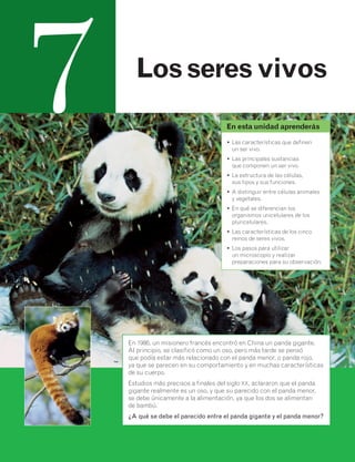 7 Los seres vivos 
En esta unidad aprenderás 
• Las características que definen 
un ser vivo. 
• Las principales sustancias 
que componen un ser vivo. 
• La estructura de las células, 
sus tipos y sus funciones. 
• A distinguir entre células animales 
y vegetales. 
• En qué se diferencian los 
organismos unicelulares de los 
pluricelulares. 
• Las características de los cinco 
reinos de seres vivos. 
• Los pasos para utilizar 
un microscopio y realizar 
preparaciones para su observación. 
En 1986, un misionero francés encontró en China un panda gigante. 
Al principio, se clasificó como un oso, pero más tarde se pensó 
que podía estar más relacionado con el panda menor, o panda rojo, 
ya que se parecen en su comportamiento y en muchas características 
de su cuerpo. 
Estudios más precisos a finales del siglo XX, aclararon que el panda 
gigante realmente es un oso, y que su parecido con el panda menor, 
se debe únicamente a la alimentación, ya que los dos se alimentan 
de bambú. 
¿A qué se debe el parecido entre el panda gigante y el panda menor? 
 