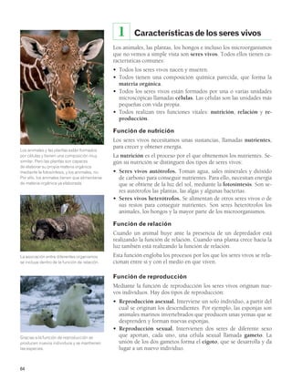 64 
Características de los seres vivos 
1 
Los animales, las plantas, los hongos e incluso los microorganismos 
que no vemos a simple vista son seres vivos. Todos ellos tienen ca-racterísticas 
comunes: 
• Todos los seres vivos nacen y mueren. 
• Todos tienen una composición química parecida, que forma la 
materia orgánica. 
• Todos los seres vivos están formados por una o varias unidades 
microscópicas llamadas células. Las células son las unidades más 
pequeñas con vida propia. 
• Todos realizan tres funciones vitales: nutrición, relación y re-producción. 
Función de nutrición 
Los seres vivos necesitamos unas sustancias, llamadas nutrientes, 
para crecer y obtener energía. 
La nutrición es el proceso por el que obtenemos los nutrientes. Se-gún 
su nutrición se distinguen dos tipos de seres vivos: 
• Seres vivos autótrofos. Toman agua, sales minerales y dióxido 
de carbono para conseguir nutrientes. Para ello, necesitan energía 
que se obtiene de la luz del sol, mediante la fotosíntesis. Son se-res 
autótrofos las plantas, las algas y algunas bacterias. 
• Seres vivos heterótrofos. Se alimentan de otros seres vivos o de 
sus restos para conseguir nutrientes. Son seres heterótrofos los 
animales, los hongos y la mayor parte de los microorganismos. 
Función de relación 
Cuando un animal huye ante la presencia de un depredador está 
realizando la función de relación. Cuando una planta crece hacia la 
luz también está realizando la función de relación. 
Esta función engloba los procesos por los que los seres vivos se rela-cionan 
entre sí y con el medio en que viven. 
Función de reproducción 
Mediante la función de reproducción los seres vivos originan nue-vos 
individuos. Hay dos tipos de reproducción: 
• Reproducción asexual. Interviene un solo individuo, a partir del 
cual se originan los descendientes. Por ejemplo, las esponjas son 
animales marinos invertebrados que producen unas yemas que se 
desprenden y forman nuevas esponjas. 
• Reproducción sexual. Intervienen dos seres de diferente sexo 
que aportan, cada uno, una célula sexual llamada gameto. La 
unión de los dos gametos forma el cigoto, que se desarrolla y da 
lugar a un nuevo individuo. 
Los animales y las plantas están formados 
por células y tienen una composición muy 
similar. Pero las plantas son capaces 
de elaborar su propia materia orgánica 
mediante la fotosíntesis, y los animales, no. 
Por ello, los animales tienen que alimentarse 
de materia orgánica ya elaborada. 
La asociación entre diferentes organismos 
se incluye dentro de la función de relación. 
Gracias a la función de reproducción se 
producen nuevos individuos y se mantienen 
las especies. 
 