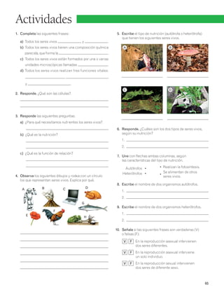 Actividades 
1. Completa las siguientes frases: 
a) Todos los seres vivos y . 
b) Todos los seres vivos tienen una composición química 
parecida, que forma la . 
c) Todos los seres vivos están formados por una o varias 
unidades microscópicas llamadas . 
d) Todos los seres vivos realizan tres funciones vitales: 
, 
y . 
2. Responde. ¿Qué son las células? 
3. Responde las siguientes preguntas: 
a) ¿Para qué necesitamos nutrientes los seres vivos? 
b) ¿Qué es la nutrición? 
c) ¿Qué es la función de relación? 
4. Observa los siguientes dibujos y rodea con un círculo 
los que representan seres vivos. Explica por qué. 
5. Escribe el tipo de nutrición (autótrofa o heterótrofa) 
que tienen los siguientes seres vivos. 
6. Responde. ¿Cuáles son los dos tipos de seres vivos, 
según su nutrición? 
1. 
2. 
7. Une con flechas ambas columnas, según 
las características del tipo de nutrición. 
Autótrofos • • Realizan la fotosíntesis. 
Heterótrofos • • Se alimentan de otros 
seres vivos. 
8. Escribe el nombre de dos organismos autótrofos. 
1. 
2. 
9. Escribe el nombre de dos organismos heterótrofos. 
1. 
2. 
10. Señala si las siguientes frases son verdaderas (V) 
o falsas (F): 
V F En la reproducción asexual intervienen 
dos seres diferentes. 
V F En la reproducción asexual interviene 
un solo individuo. 
V F En la reproducción sexual intervienen 
dos seres de diferente sexo. 
65 
A B C D 
E 
F 
G 
H 
A 
C 
B 
D 
 