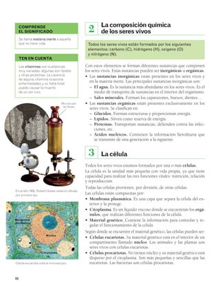 Membrana 
plasmática 
66 
2 La composición química 
de los seres vivos 
Todos los seres vivos están formados por los siguientes 
elementos: carbono (C), hidrógeno (H), oxígeno (O) 
y nitrógeno (N). 
Con estos elementos se forman diferentes sustancias que componen 
los seres vivos. Estas sustancias pueden ser inorgánicas u orgánicas. 
• Las sustancias inorgánicas están presentes en los seres vivos y 
en la materia inerte. Las principales sustancias inorgánicas son: 
– El agua. Es la sustancia más abundante en los seres vivos. Es el 
medio de transporte de sustancias en el interior del organismo. 
– Sales minerales. Forman los caparazones, huesos, dientes… 
• Las sustancias orgánicas están presentes exclusivamente en los 
seres vivos. Se clasifican en: 
– Glúcidos. Forman estructuras y proporcionan energía. 
– Lípidos. Sirven como reserva de energía. 
– Proteínas. Transportan sustancias, defienden contra las infec-ciones, 
etc. 
– Ácidos nucleicos. Contienen la información hereditaria que 
se transmite de una generación a la siguiente. 
3 La célula 
Todos los seres vivos estamos formados por una o más células. 
La célula es la unidad más pequeña con vida propia, ya que tiene 
capacidad para realizar las tres funciones vitales: nutrición, relación 
y reproducción. 
Todas las células provienen, por división, de otras células. 
Las células están compuestas por: 
• Membrana plasmática. Es una capa que separa la célula del ex-terior 
y la protege. 
• Citoplasma. Es un líquido viscoso donde se encuentran los orgá-nulos, 
que realizan diferentes funciones de la célula. 
• Material genético. Contiene la información para controlar y re-gular 
el funcionamiento de la célula. 
Según dónde se encuentre el material genético, las células pueden ser: 
• Células eucariotas. Su material genético está en el interior de un 
compartimento llamado núcleo. Los animales y las plantas son 
seres vivos con células eucariotas. 
• Células procariotas. No tienen núcleo y su material genético está 
disperso por el citoplasma. Son más pequeñas y sencillas que las 
eucariotas. Las bacterias son células procariotas. 
COMPRENDE 
EL SIGNIFICADO 
Se llama materia inerte a aquella 
que no tiene vida. 
TEN EN CUENTA 
Las vitaminas son sustancias 
muy variadas: algunas son lípidos 
y otras proteínas. La carencia 
de alguna vitamina ocasiona 
enfermedades y su falta total 
puede causar la muerte 
de un ser vivo. 
Microscopio 
de Hooke 
En el año 1665, Robert Hooke observó células 
por primera vez. 
Núcleo 
Citoplasma 
Célula eucariota vista al microscopio. 
 