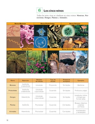 72 
Los cinco reinos 
Todos los seres vivos se clasifican en cinco reinos: Moneras, Pro-toctistas, 
Hongos, Plantas y Animales. 
6 
Reino Moneras Reino Protoctistas 
Reino Hongos 
Reino Plantas Reino Animales 
Reino Nutrición Número 
de células 
Tipo de 
células 
Presencia 
de tejidos Ejemplos 
Moneras 
Autótrofa 
o heterótrofa Unicelular Procariota Sin tejidos Bacterias 
Protoctistas 
Autótrofa 
o heterótrofa 
Unicelular 
o pluricelular Eucariota Sin tejidos Protozoos y algas 
Hongos Heterótrofa Unicelular 
o pluricelular Eucariota Sin tejidos 
Levaduras, mohos 
y hongos que 
forman setas 
Plantas Autótrofa Pluricelular Eucariota Con tejidos 
Musgos, helechos 
y plantas 
con flores 
Animales Heterótrofa Pluricelular Eucariota Con tejidos Invertebrados 
y vertebrados 
 