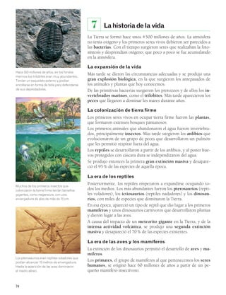 74 
La historia de la vida 
La Tierra se formó hace unos 4 500 millones de años. La atmósfera 
no tenía oxígeno y los primeros seres vivos debieron ser parecidos a 
las bacterias. Con el tiempo surgieron seres que realizaban la foto-síntesis 
y desprendían oxígeno, que poco a poco se fue acumulando 
en la atmósfera. 
La expansión de la vida 
Más tarde se dieron las circunstancias adecuadas y se produjo una 
gran explosión biológica, en la que surgieron los antepasados de 
los animales y plantas que hoy conocemos. 
De las primitivas bacterias surgieron los protozoos y de ellos los in-vertebrados 
marinos, como el trilobites. Más tarde aparecieron los 
peces que llegaron a dominar los mares durante años. 
La colonización de tierra firme 
Los primeros seres vivos en ocupar tierra firme fueron las plantas, 
que formaron extensos bosques pantanosos. 
Los primeros animales que abandonaron el agua fueron invertebra-dos, 
principalmente insectos. Más tarde surgieron los anfibios que 
evolucionaron de un grupo de peces que desarrollaron un pulmón 
que les permitió respirar fuera del agua. 
Los reptiles se desarrollaron a partir de los anfibios, y al poner hue-vos 
protegidos con cáscara dura se independizaron del agua. 
Se produjo entonces la primera gran extinción masiva y desapare-ció 
el 95 % de las especies de aquella época. 
La era de los reptiles 
Posteriormente, los reptiles empezaron a expandirse ocupando to-dos 
los medios. Los más abundantes fueron los pterosaurios (repti-les 
voladores), los ictiosaurios (reptiles nadadores) y los dinosau-rios, 
con miles de especies que dominaron la Tierra. 
En esa época, apareció un tipo de reptil que dio lugar a los primeros 
mamíferos y unos dinosaurios carnívoros que desarrollaron plumas 
y dieron lugar a las aves. 
A causa del impacto de un meteorito gigante en la Tierra, y de la 
intensa actividad volcánica, se produjo una segunda extinción 
masiva y desapareció el 70 % de las especies existentes. 
La era de las aves y los mamíferos 
La extinción de los dinosaurios permitió el desarrollo de aves y ma-míferos. 
Los primates, el grupo de mamíferos al que pertenecemos los seres 
humanos, se originó hace 60 millones de años a partir de un pe-queño 
mamífero insectívoro. 
7 
Hace 550 millones de años, en los fondos 
marinos los trilobites eran muy abundantes. 
Tenían un esqueleto externo y podían 
enrollarse en forma de bola para defenderse 
de sus depredadores. 
Muchos de los primeros insectos que 
colonizaron la tierra firme tenían tamaños 
gigantes, como meganeura, con una 
envergadura de alas de más de 75 cm. 
Los pterosaurios eran reptiles voladores que 
podían alcanzar 10 metros de envergadura. 
Hasta la aparición de las aves dominaron 
el medio aéreo. 
 