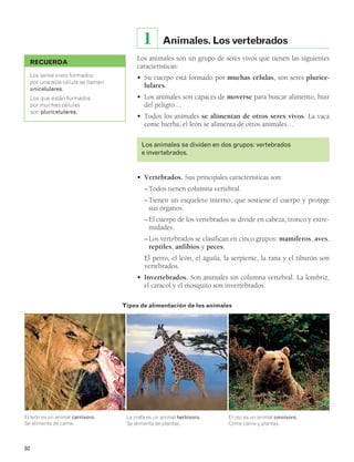 82 
Animales. Los vertebrados 
1 
Los animales son un grupo de seres vivos que tienen las siguientes 
características: 
• Su cuerpo está formado por muchas células, son seres plurice-lulares. 
• Los animales son capaces de moverse para buscar alimento, huir 
del peligro… 
• Todos los animales se alimentan de otros seres vivos. La vaca 
come hierba, el león se alimenta de otros animales… 
Los animales se dividen en dos grupos: vertebrados 
e invertebrados. 
• Vertebrados. Sus principales características son: 
– Todos tienen columna vertebral. 
– Tienen un esqueleto interno, que sostiene el cuerpo y protege 
sus órganos. 
– El cuerpo de los vertebrados se divide en cabeza, tronco y extre-midades. 
– Los vertebrados se clasifican en cinco grupos: mamíferos, aves, 
reptiles, anfibios y peces. 
El perro, el león, el águila, la serpiente, la rana y el tiburón son 
vertebrados. 
• Invertebrados. Son animales sin columna vertebral. La lombriz, 
el caracol y el mosquito son invertebrados. 
RECUERDA 
Los seres vivos formados 
por una sola célula se llaman 
unicelulares. 
Los que están formados 
por muchas células 
son pluricelulares. 
La jirafa es un animal herbívoro. 
Se alimenta de plantas. 
El oso es un animal omnívoro. 
Come carne y plantas. 
El león es un animal carnívoro. 
Se alimenta de carne. 
Tipos de alimentación de los animales 
 