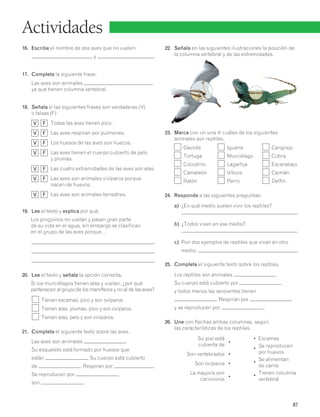 87 
Actividades 
16. Escribe el nombre de dos aves que no vuelen: 
y . 
17. Completa la siguiente frase: 
Las aves son animales , 
ya que tienen columna vertebral. 
18. Señala si las siguientes frases son verdaderas (V) 
o falsas (F): 
V F Todas las aves tienen pico. 
V F Las aves respiran por pulmones. 
V F Los huesos de las aves son huecos. 
V F Las aves tienen el cuerpo cubierto de pelo 
y plumas. 
V F Las cuatro extremidades de las aves son alas. 
V F Las aves son animales vivíparos porque 
nacen de huevos. 
V F Las aves son animales terrestres. 
19. Lee el texto y explica por qué. 
Los pingüinos no vuelan y pasan gran parte 
de su vida en el agua, sin embargo se clasifican 
en el grupo de las aves porque… 
20. Lee el texto y señala la opción correcta. 
Si los murciélagos tienen alas y vuelan, ¿por qué 
pertenecen al grupo de los mamíferos y no al de las aves? 
Tienen escamas, pico y son ovíparos. 
Tienen alas, plumas, pico y son ovíparos. 
Tienen alas, pelo y son vivíparos. 
21. Completa el siguiente texto sobre las aves. 
Las aves son animales . 
Su esqueleto está formado por huesos que 
están . Su cuerpo está cubierto 
de . Respiran por . 
Se reproducen por , 
son . 
22. Señala en las siguientes ilustraciones la posición de 
la columna vertebral y de las extremidades. 
23. Marca con un una 3 cuáles de los siguientes 
animales son reptiles. 
Gaviota Iguana Cangrejo 
Tortuga Murciélago Cobra 
Cocodrilo Lagartija Escarabajo 
Camaleón Víbora Caimán 
Ratón Perro Delfín 
24. Responde a las siguientes preguntas: 
a) ¿En qué medio suelen vivir los reptiles? 
b) ¿Todos viven en ese medio? 
c) Pon dos ejemplos de reptiles que vivan en otro 
medio. 
25. Completa el siguiente texto sobre los reptiles. 
Los reptiles son animales . 
Su cuerpo está cubierto por 
y todos menos las serpientes tienen 
. Respiran por 
y se reproducen por . 
26. Une con flechas ambas columnas, según 
las características de los reptiles. 
Su piel está 
cubierta de • 
Son vertebrados • 
Son ovíparos • 
La mayoría son 
carnívoros • 
• Escamas 
• Se reproducen 
por huevos 
• Se alimentan 
de carne 
• Tienen columna 
vertebral 
 