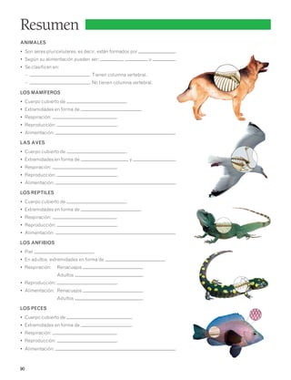 Resumen 
ANIMALES 
• Son seres pluricelulares, es decir, están formados por . 
• Según su alimentación pueden ser: , u . 
• Se clasifican en: 
– . Tienen columna vertebral. 
– . No tienen columna vertebral. 
LOS MAMÍFEROS 
• Cuerpo cubierto de . 
• Extremidades en forma de . 
• Respiración: . 
• Reproducción: . 
• Alimentación: . 
LAS AVES 
• Cuerpo cubierto de . 
• Extremidades en forma de y . 
• Respiración: . 
• Reproducción: . 
• Alimentación: . 
LOS REPTILES 
• Cuerpo cubierto de . 
• Extremidades en forma de . 
• Respiración: . 
• Reproducción: . 
• Alimentación: . 
LOS ANFIBIOS 
• Piel . 
• En adultos, extremidades en forma de . 
• Respiración: Renacuajos . 
90 
Adultos . 
• Reproducción: . 
• Alimentación: Renacuajos . 
Adultos . 
LOS PECES 
• Cuerpo cubierto de . 
• Extremidades en forma de . 
• Respiración: . 
• Reproducción: . 
• Alimentación: . 
 