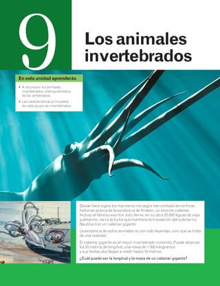 Los animales 
invertebrados 
Desde hace siglos los marineros noruegos han contado terroríficas 
historias acerca de la existencia de Kraken, un enorme calamar. 
Incluso el famoso escritor Julio Verne, en su obra 20 000 leguas de viaje 
submarino, narra la lucha que mantiene la tripulación del submarino 
Nautilus con un calamar gigante. 
La existencia de estos animales no son solo leyendas, sino que se trata 
de una realidad. 
El calamar gigante es el mayor invertebrado conocido. Puede alcanzar 
los 20 metros de longitud, una masa de 1 000 kilogramos 
y sus tentáculos llegan a medir hasta 16 metros. 
¿Cuál puede ser la longitud y la masa de un calamar gigante? 
En esta unidad aprenderás 9 
• A reconocer los animales 
invertebrados, distinguiéndolos 
de los vertebrados. 
• Las características principales 
de cada grupo de invertebrados. 
 