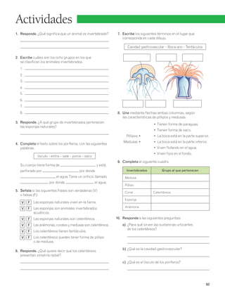 Actividades 
1. Responde. ¿Qué significa que un animal es invertebrado? 
2. Escribe cuáles son los ocho grupos en los que 
se clasifican los animales invertebrados. 
1. 
2. 
3. 
4. 
5. 
6. 
7. 
8. 
3. Responde. ¿A qué grupo de invertebrados pertenecen 
las esponjas naturales? 
4. Completa el texto sobre los poríferos, con las siguientes 
palabras. 
ósculo – entra – sale – poros – saco 
Su cuerpo tiene forma de y está 
perforado por , por donde 
el agua. Tiene un orificio llamado 
por donde el agua. 
5. Señala si las siguientes frases son verdaderas (V) 
o falsas (F): 
V F Las esponjas naturales viven en la tierra. 
V F Las esponjas son animales invertebrados 
acuáticos. 
V F Las esponjas naturales son celentéreos. 
V F Las anémonas, corales y medusas son celentéreos. 
V F Los celentéreos tienen tentáculos. 
V F Los celentéreos pueden tener forma de pólipo 
o de medusa. 
6. Responde. ¿Qué quiere decir que los celentéreos 
presentan simetría radial? 
7. Escribe los siguientes términos en el lugar que 
corresponda en cada dibujo. 
Cavidad gastrovascular – Boca-ano – Tentáculos 
8. Une mediante flechas ambas columnas, según 
las características de pólipos y medusas. 
• Tienen forma de paraguas. 
• Tienen forma de saco. 
Pólipos • • La boca está en la parte superior. 
Medusas • • La boca está en la parte inferior. 
• Viven flotando en el agua. 
• Viven fijos en el fondo. 
9. Completa el siguiente cuadro. 
Invertebrados Grupo al que pertenecen 
Medusa 
Pólipo 
Coral Celentéreos 
Esponja 
Anémona 
10. Responde a las siguientes preguntas: 
a) ¿Para qué sirven las sustancias urticantes 
de los celentéreos? 
b) ¿Qué es la cavidad gastrovascular? 
c) ¿Qué es el ósculo de los poríferos? 
93 
 
