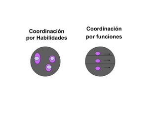 Coordinación por funciones Coordinación por Habilidades 