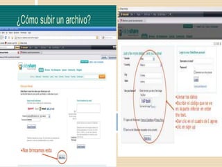 Ava ova bayona_carreto_1101