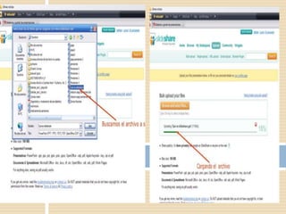 Ava ova bayona_carreto_1101